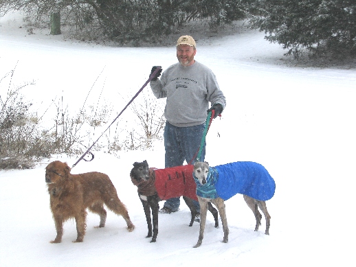 Walking Dogs in Snow