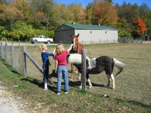 Feeding the horses