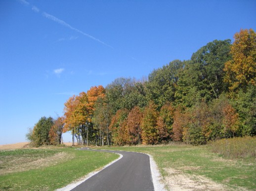 Cattail trail